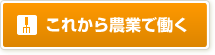 これから農業で働く